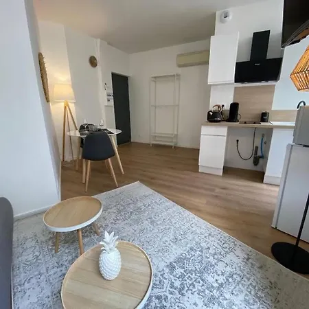 Hyper Centre - Cocooning Διαμέρισμα Mazamet