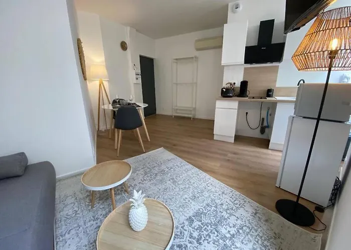 Hyper Centre - Cocooning Διαμέρισμα Mazamet